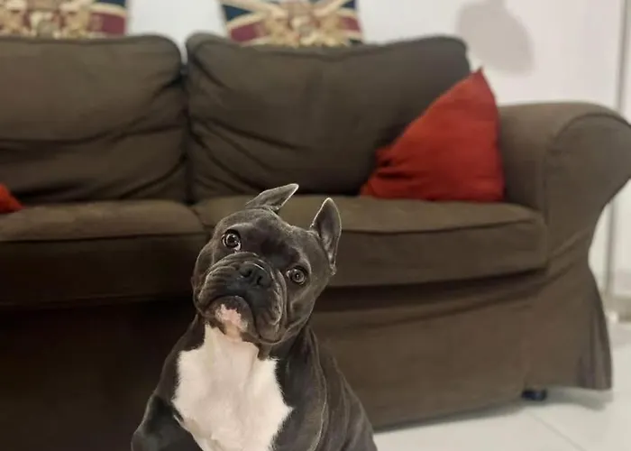 Apartamento Studio_suite05